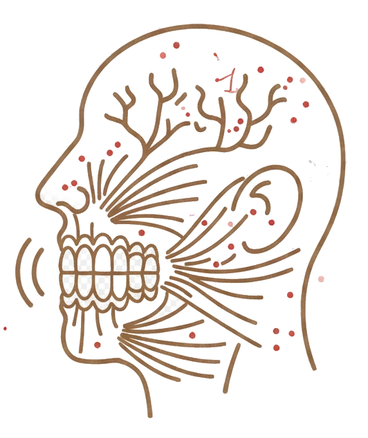 Trastornos de la mandíbula: DTM, bruxismo, tensión y dolor mandibular